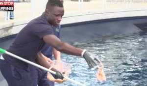 Benjamin Mendy : Entouré de crocodiles et de requins, le footballeur profite à Miami ! (vidéo) 