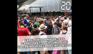 Gare Montparnasse: Pas d'amélioration ce lundi avec 50% de trains supprimés