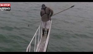 Un chercheur manque de peu de se faire croquer par un grand requin blanc (vidéo)