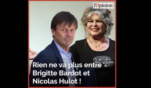 Brigitte Bardot VS Nicolas Hulot: des lettres ouvertes... au clash médiatique