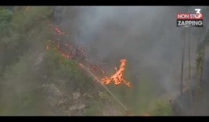 Canicule : le Portugal ravagé par les flammes (Vidéo)