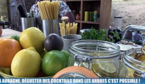 A Aubagne, déguster un cocktail dans les arbres c'est possible !