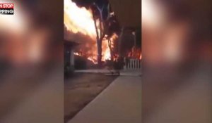 Incendies en Grèce : Pris au piège par les flammes, un homme frôle la mort (Vidéo)