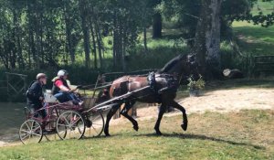 Concours international d'attelage