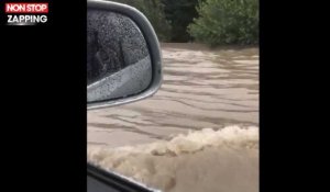 Intempéries : l'autoroute A7 près d'Avignon complètement sous l'eau (vidéo)