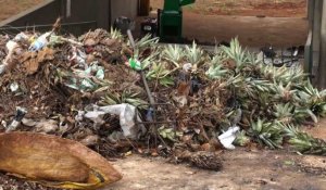 Au Benin, les ordures sont devenues de l'or