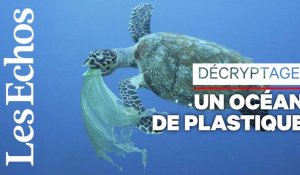 Vraiment fantastique le plastique ? Plutôt dramatique pour les océans...