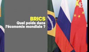 Les BRICS, entre ambitions économiques et bataille de leadership