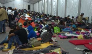 Du Mexique, les migrants lancent un appel à Trump