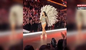 Victoria's Secret : Adriana Lima en larmes pour son dernier défilé (Vidéo)