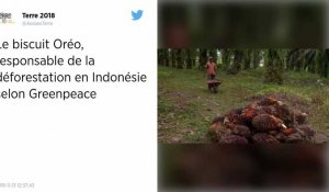 Le biscuit Oréo, responsable de la déforestation en Indonésie selon Greenpeace.