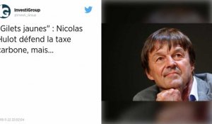 La crise des gilets jaunes était "évitable" selon Nicolas Hulot