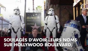 PHOTOS. Michael Bublé, Samuel L. Jackson, Ellen DeGeneres : les poses les plus WTF des stars pour inaugurer leurs étoiles à Hollywood