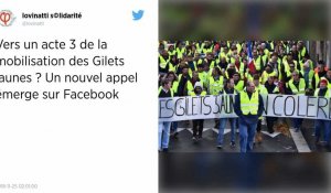 Gilets jaunes : une page Facebook appelle à un « acte 3 » pacifique samedi prochain