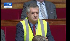 Jean Lassalle en gilet jaune pertube l'Assemblée Nationale - ZAPPING TÉLÉ DU 22/11/2018