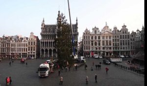 La difficile installation du sapin de Noël sur la Grand-Place de Bruxelles