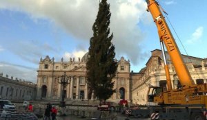 Le sapin de Noël du Vatican est arrivé place Saint-Pierre