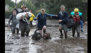 Californie. Au moins 13 morts dans des coulées de boue après une tempête