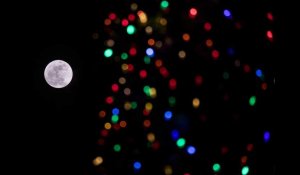 EN IMAGES. Les plus belles photos de la première « super Lune » de l'année