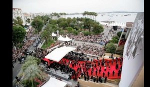 Festival de Cannes : L'extraordinaire fabrication de la palme d'or