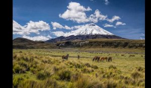 Les 5 volcans les plus impressionnants