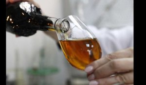 Lidl. Un cognac XO vendu 20 euros provoque la colère des viticulteurs