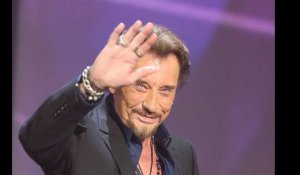 Johnny Hallyday : les chiffres de ce chanteur hors-norme