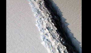 L'un des plus gros icebergs jamais vus s'est détaché de l'Antarctique