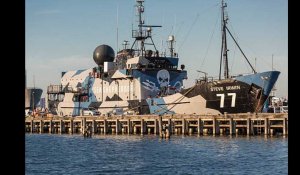 Sea Shepherd renonce à la traque des baleiniers japonais