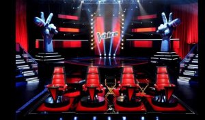 The Voice. Faute de public, la tournée du télécrochet de TF1 s'arrête
