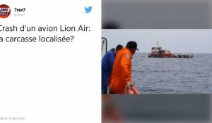 Indonésie. L'avion de Lion Air aurait été localisé en mer de Java.