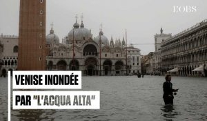 Toiles de Miró trempées, pizzeria les pieds dans l'eau : les images historiques de Venise inondée