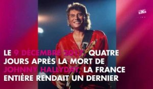 Obsèques de Johnny Hallyday : Sylvie Vartan n'aurait pas aimé l'hommage