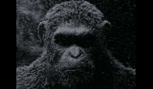 War of the Planet of the Apes: Official Trailer HD VO st bil