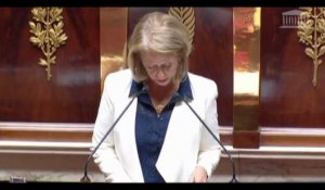 La présidente de la commission des Affaires sociales dénonce les insultes sexistes et les "menaces de mort par guillotine" (vidéo)