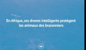 En Afrique, ces drones intelligents protègent les animaux des braconniers