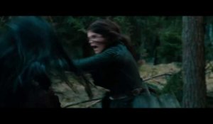 Hansel and Gretel: Witch Hunters: Trailer