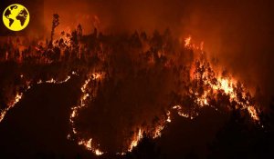 Incendie au Portugal : "Depuis cinquante ans, toutes les mises en garde tombent dans l'oreille d'un sourd"