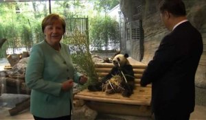 "Diplomatie du panda": Merkel et Xi au Zoo de Berlin
