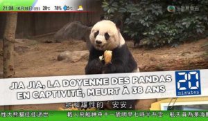 Jia Jia, la doyenne des pandas en captivité, meurt à 38 ans