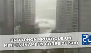 Le Typhon Chaba provoque un mini-tsunami en Corée