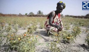 Au Sénégal, apprendre à vivre avec les changements climatiques