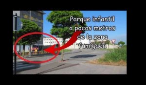 Asturias: Denuncian que Ayuntamiento de Siero fumiga con herbicidas sin advertir del riesgo