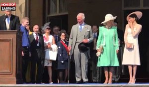Le Prince Harry attaqué par un bourdon, Meghan Markle prise d'un fou rire (Vidéo)