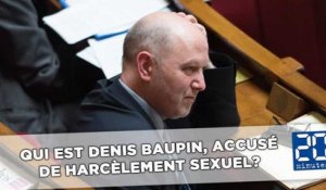 Parcours, idéologie: Qui est Denis Baupin, accusé de harcèlement sexuel?