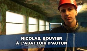 Nicolas, 18 ans, bouvier à l'abattoir d'Autun