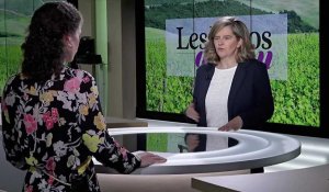 Vins de Bordeaux : les coulisses du nouveau classement des crus bourgeois