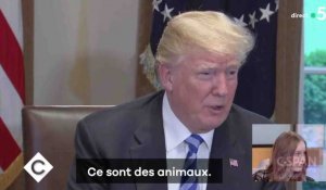 Donald Trump compare les migrants à des animaux - ZAPPING ACTU HEBDO DU 19/05/2018