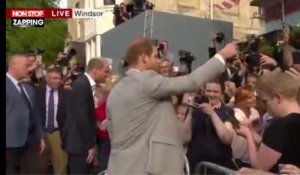 Harry et William viennent saluer la foule à la veille du mariage (vidéo)