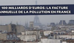 La pollution de l'air coûterait 100 milliards d'euros chaque année en France